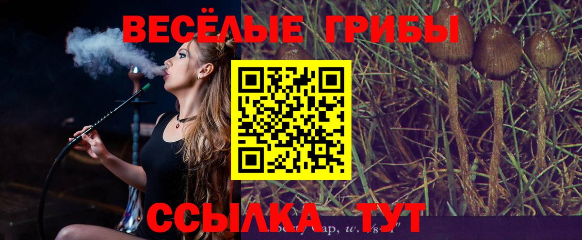 Галлюциногенные грибы Magic Shrooms Ростов Великий