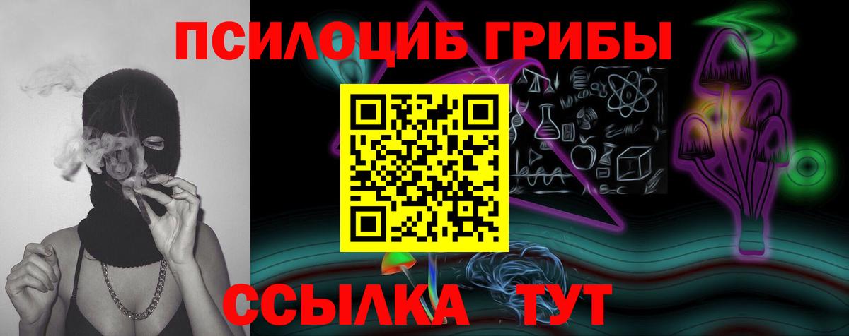 Ростов Великий  Галлюциногенные грибы прущие грибы  Псилоцибиновые грибы мицелий  Вход с VPN 